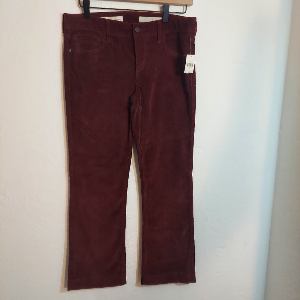 Anthropologie Pilcro and the Letterpress Pants